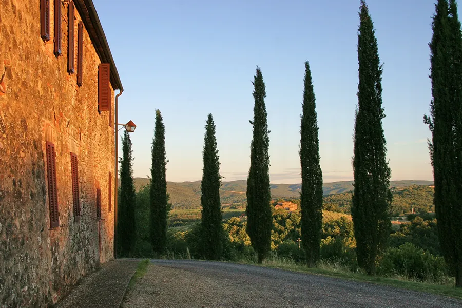 switch n stay anywhere in the world